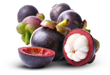 Mangosteen