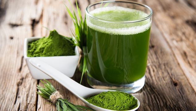 Barley grass