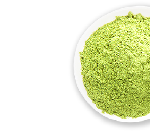 Barley grass