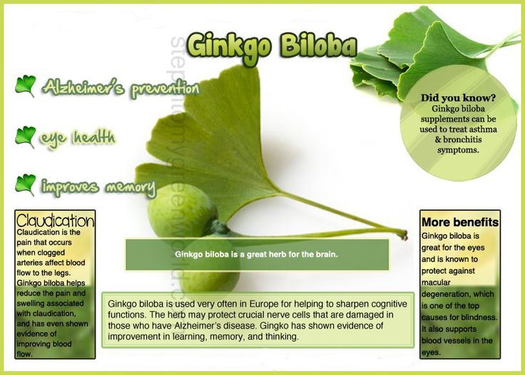 Ginkgo Biloba