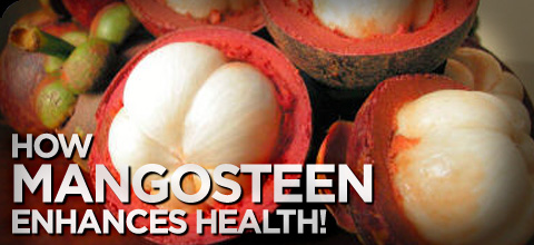 Mangosteen