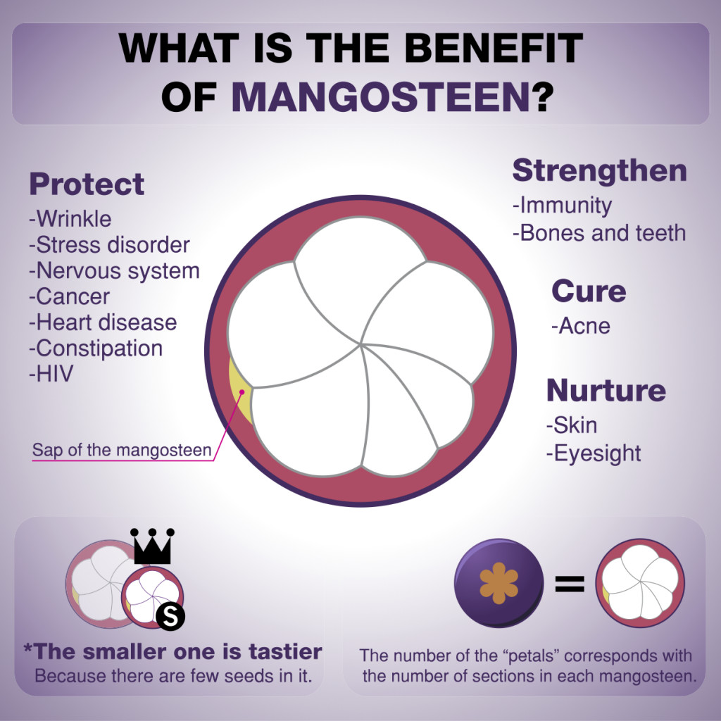 Mangosteen
