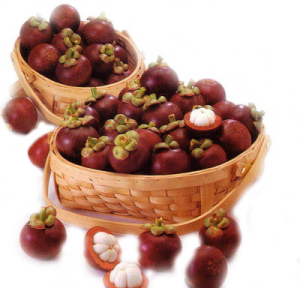 Mangosteen